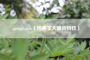 springbatch（带来了大量新特性）