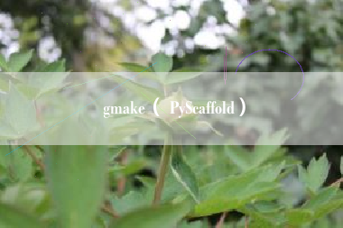 gmake（ PyScaffold）