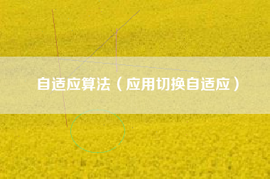 自适应算法（应用切换自适应）
