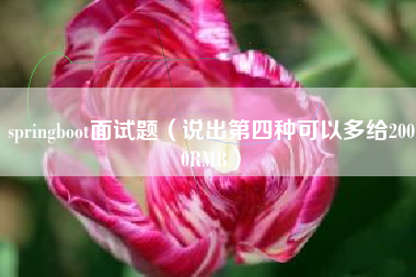 springboot面试题（说出第四种可以多给2000RMB）