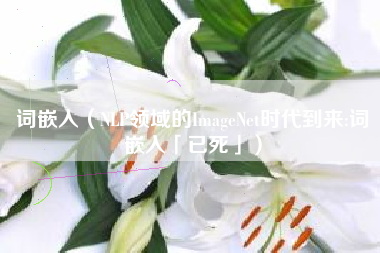 词嵌入（NLP领域的ImageNet时代到来:词嵌入「已死」）