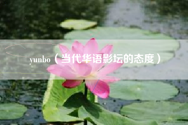 yunbo（当代华语影坛的态度）