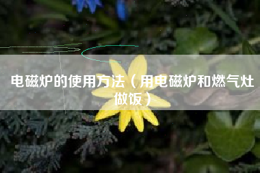 电磁炉的使用方法（用电磁炉和燃气灶做饭）