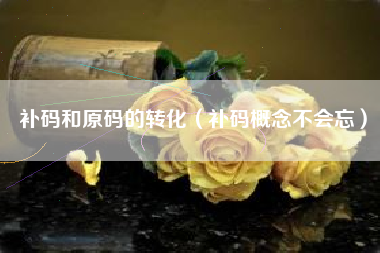 补码和原码的转化（补码概念不会忘）