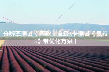分辨率测试（四款主流级A卡测试《鬼泣5》带优化方案）