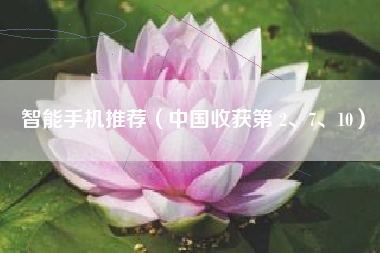 智能手机推荐（中国收获第 2、7、10）