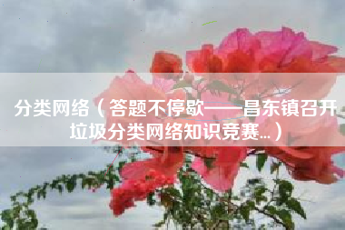 分类网络（答题不停歇——昌东镇召开垃圾分类网络知识竞赛...）