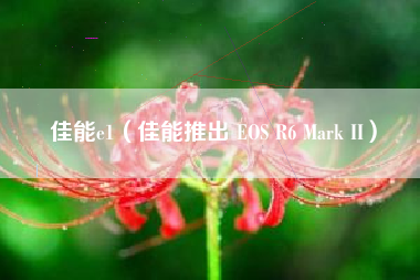 详细阅读:佳能e1(佳能推出 EOS R6 Mark II) 佳能e1(佳能推出 EOS R6 Mark II)