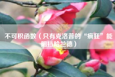 不可积函数(只有克洛普的“疯狂”能阻挡哈兰德)
