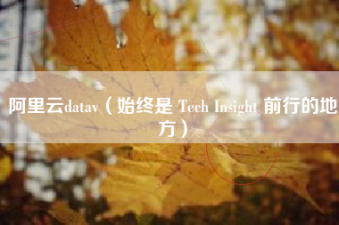 阿里云datav（始终是 Tech Insight 前行的地方）