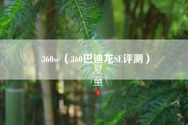 360se(360巴迪龙SE评测)