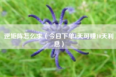 逆矩阵怎么求（今日下单1天可赚10天利息）