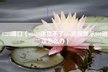 1723端口（win10建立不了vpn连接提示800错误怎么办）
