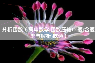 分析函数(高中数学:函数压轴100题(含题型与解析)吃透)