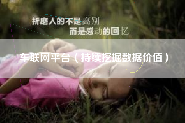 车联网平台（持续挖掘数据价值）