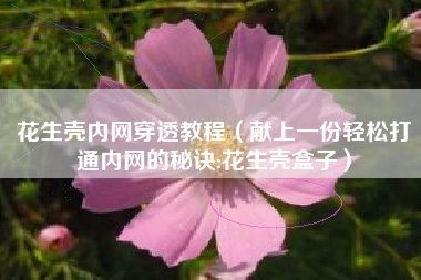 花生壳内网穿透教程(献上一份轻松打通内网的秘诀:花生壳盒子)