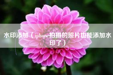 水印添加(iphone拍摄的照片也能添加水印了)