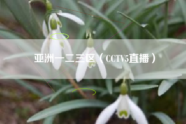 亚洲一二三区（CCTV5直播）