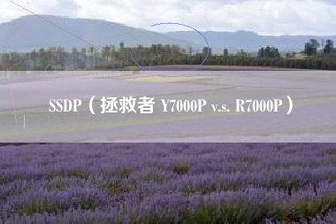 SSDP（拯救者 Y7000P v.s. R7000P）