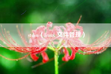 stdin（linux 文件管理）
