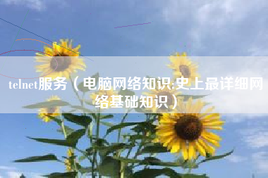 telnet服务（电脑网络知识:史上最详细网络基础知识）