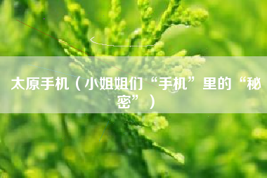 太原手机（小姐姐们“手机”里的“秘密”）