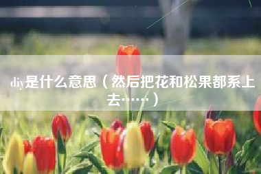 diy是什么意思(然后把花和松果都系上去……)