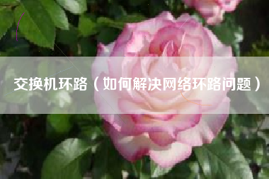 交换机环路（如何解决网络环路问题）