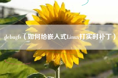 debugfs(如何给嵌入式Linux打实时补丁)