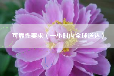 可靠性要求（一小时内全球送达）