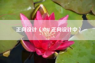 正向设计（BIM 正向设计中）