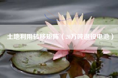 土地利用转移矩阵（20万吨退役电池）
