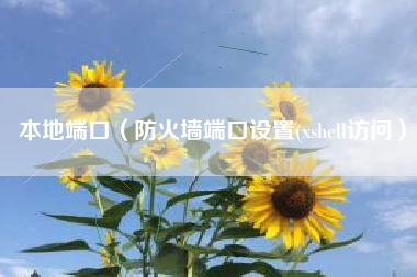 本地端口（防火墙端口设置(xshell访问）