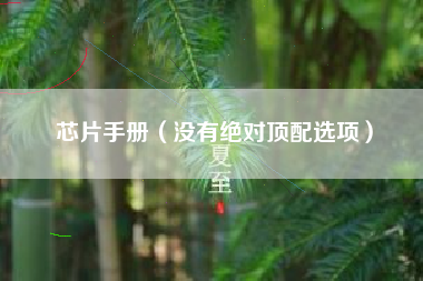 芯片手册（没有绝对顶配选项）