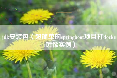 jdk安装包（超简单的springboot项目打docker镜像实例）