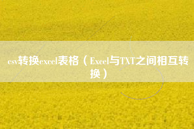 csv转换excel表格（Excel与TXT之间相互转换）