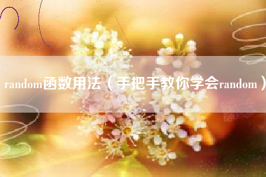 random函数用法(手把手教你学会random)