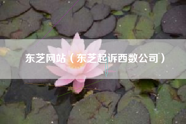 东芝网站(东芝起诉西数公司)