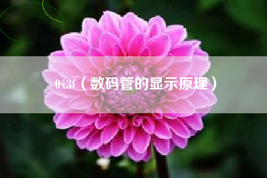 0x3f（数码管的显示原理）