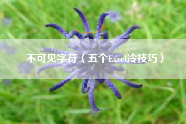 不可见字符(五个Excel冷技巧)