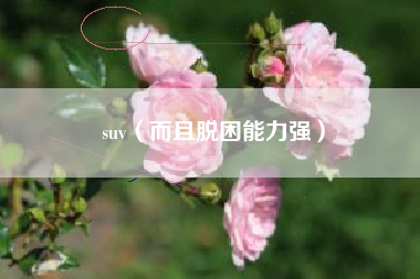 suv(而且脱困能力强)
