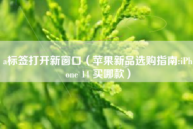 a标签打开新窗口（苹果新品选购指南:iPhone 14 买哪款）