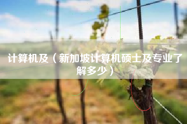 计算机及(新加坡计算机硕士及专业了解多少)