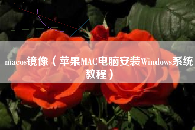 macos镜像（苹果MAC电脑安装Windows系统教程）