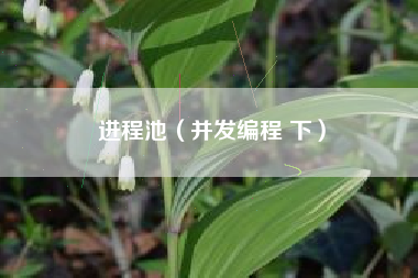进程池（并发编程 下）