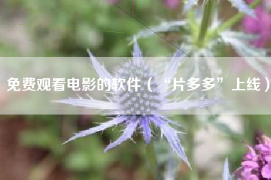 免费观看电影的软件(“片多多”上线)