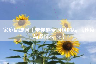 家庭局域网(带你感受网络的"速度与激情")