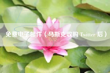 免费电子邮件(马斯克收购 Twitter 后)