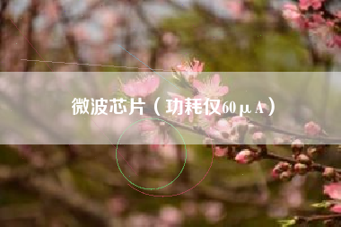 微波芯片（功耗仅60μA）