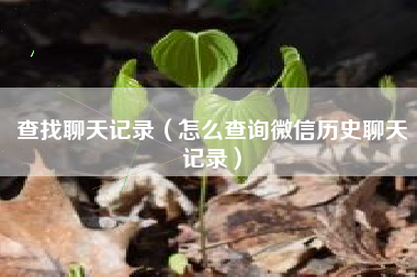 查找聊天记录（怎么查询微信历史聊天记录）